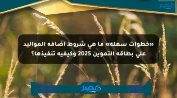«خطوات سهلة» ما هي شروط إضافة المواليد على بطاقة التموين 2025 وكيفية تنفيذها؟